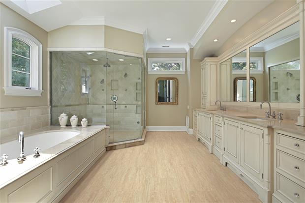 bathroom remodeling - homestead